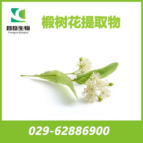 Tilia Flower Extract