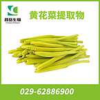 Daylily Extract