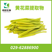 Daylily Extract
