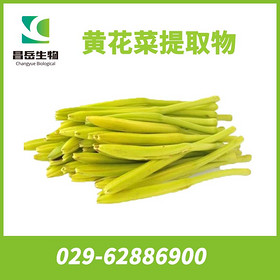 Daylily Extract