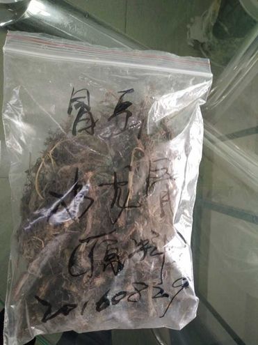 Cordierite Lotus extract