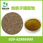 Fructus Kochiae Extract