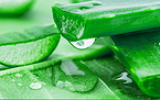 Aloe Vera Extract