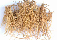 Gentian root extract