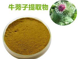 Arctium Lappa Extract