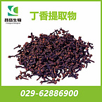 Cloves Fruit Extract