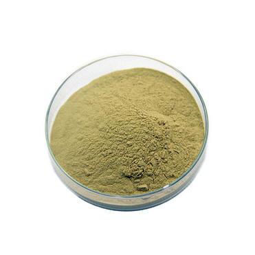 short bamboo Herb Extract