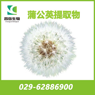 Dandelion root extract