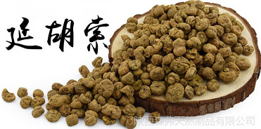 Corydalis Extract