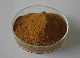 Poria Cocos Extract