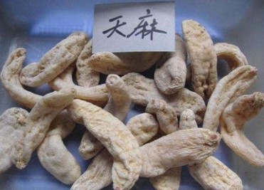 Gastrodia Tuber Extract