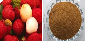 litchi extract