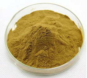 Plantain Extract