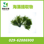 Seaweed Extract