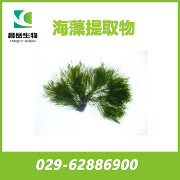 Seaweed Extract