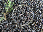 Juniper berry extract