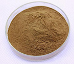 Szechwan Lovage Rhizome Extract