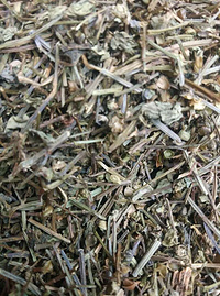 Wrinkled Gianthyssop Herb，Agastache Herbs Extract
