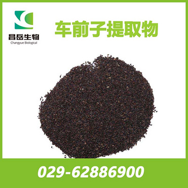 Plantain Seed Extract