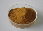 Eucommia leaf Extract