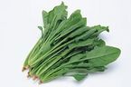 Chenopodiaceae plants of the genus spinach spinach