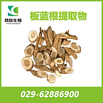 Radix isatidis Extract