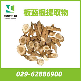 Radix isatidis Extract