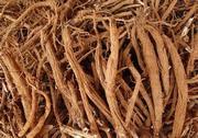 Sichuan extracts from radix dipsaci