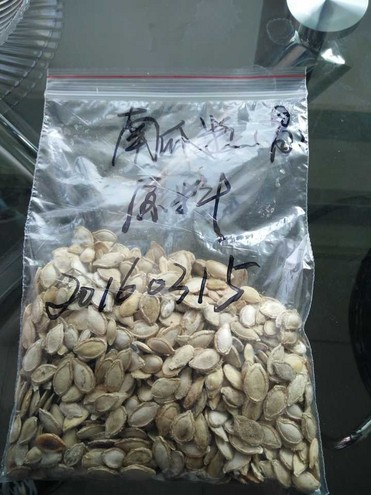 Pumpkin seed extract