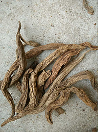 radix stemonae root Extract