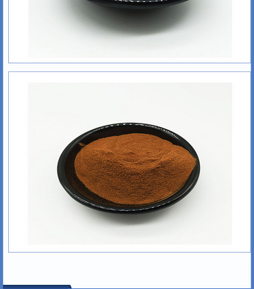 Asphaltum(Shilajit) Extract