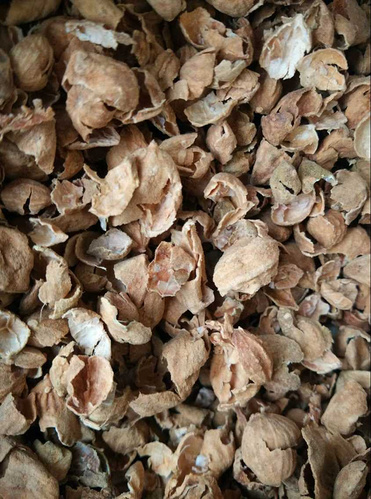 Sharpleaf Galangal Fruit Extract