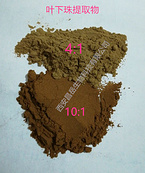 Phyllanthus Urinaria Extract