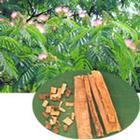 Silk tree Albizia Bark Extract