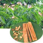 Silk tree Albizia Bark Extract