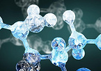 Ceramide，Rice bran extract