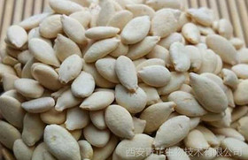 Benincasa hispida Seed Extract