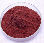 Bilberry Extract