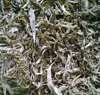 Kelp Extract，Laminaria japonica extract