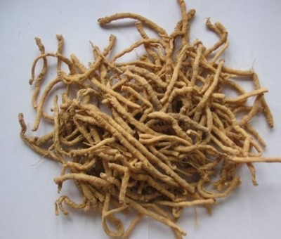 Polygala extract