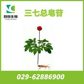 Panax notoginseng Extract