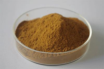 Cassia Seed Extract，Obtuseleaf Senna Seed ExtractCassia Seed Extract，Obtuseleaf Senna Seed Extract