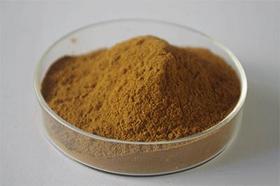 Cassia Seed Extract，Obtuseleaf Senna Seed ExtractCassia Seed Extract，Obtuseleaf Senna Seed Extract