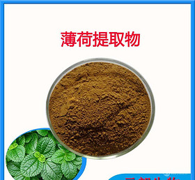 Mentha haplocalyx  Extract