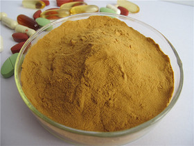 Honeysuckle Flwoer Extract