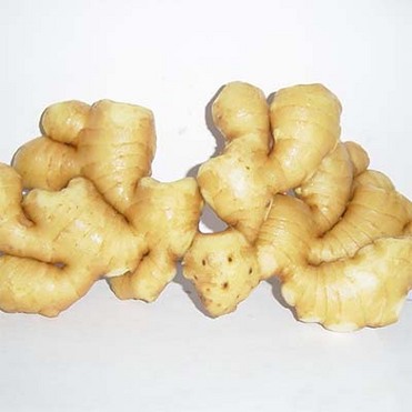 Ginger Extract