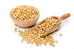 Soybean extract