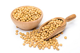 Soybean extract