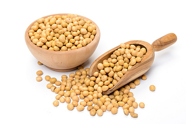 Soybean extract