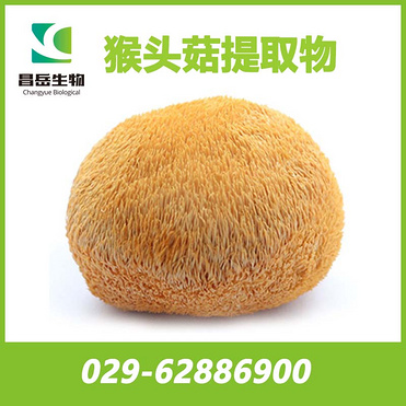 Hericium erinaceu Extract